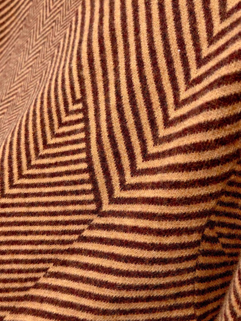 wsxc1728484349989_5.jpg