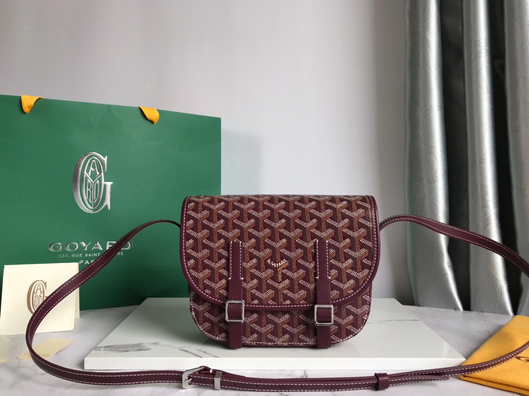고야드 Goyard 877055 숄더백 22CM