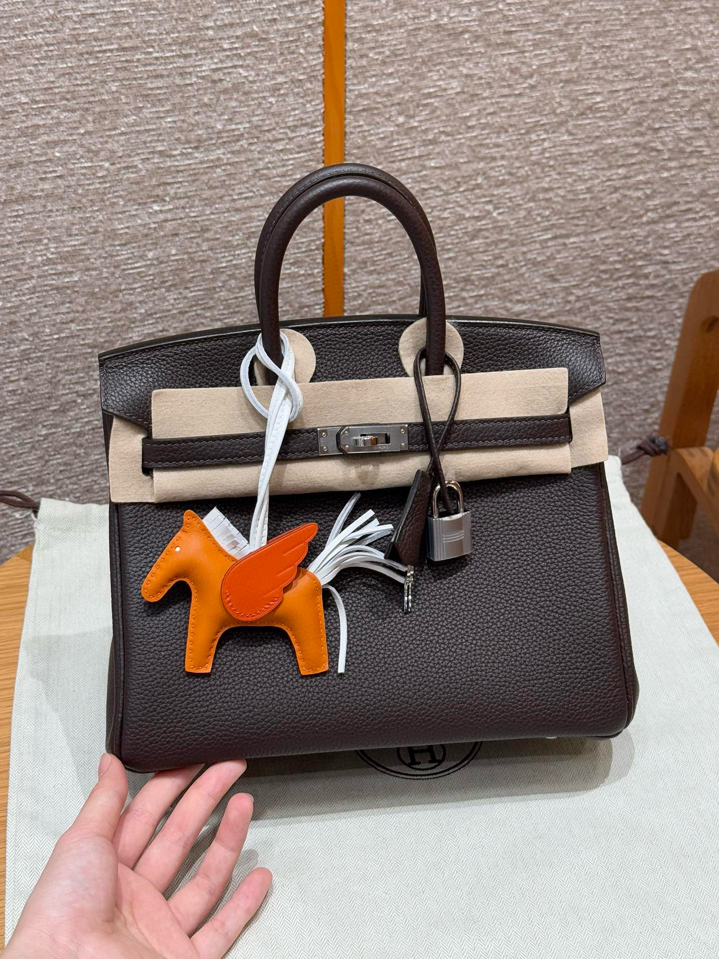 에르메스 Hermes Birkin 25cm Togo 46 Ebene/silver