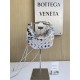 보테가베네타 Bottega Veneta 744267 Mini Sardine 20CM