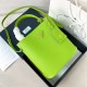 프라다 Prada 1BA212 파니에 사피아노 가죽 스몰백