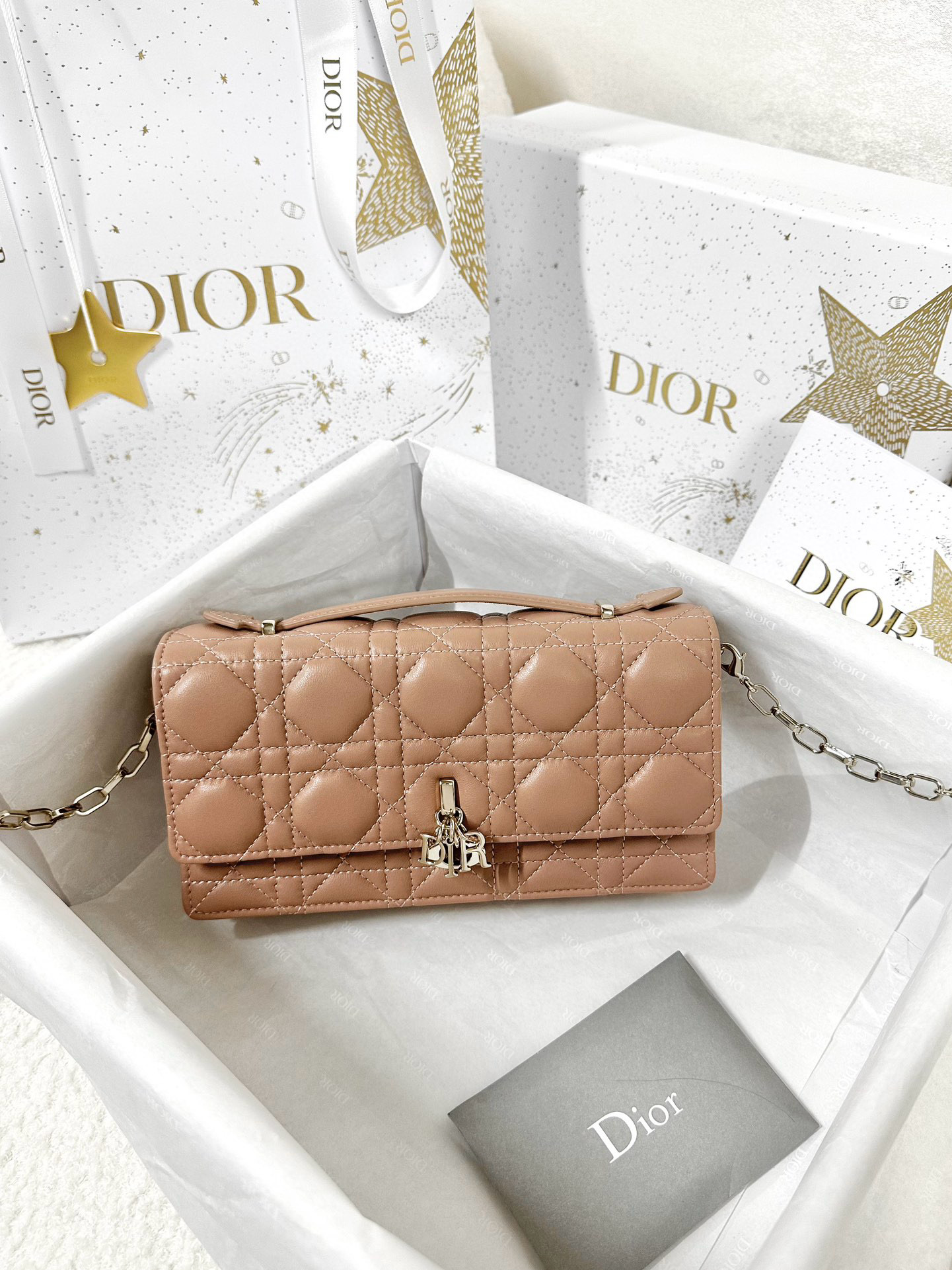 디올 Dior My Dior Mini Bag Rose des Vents 21cm