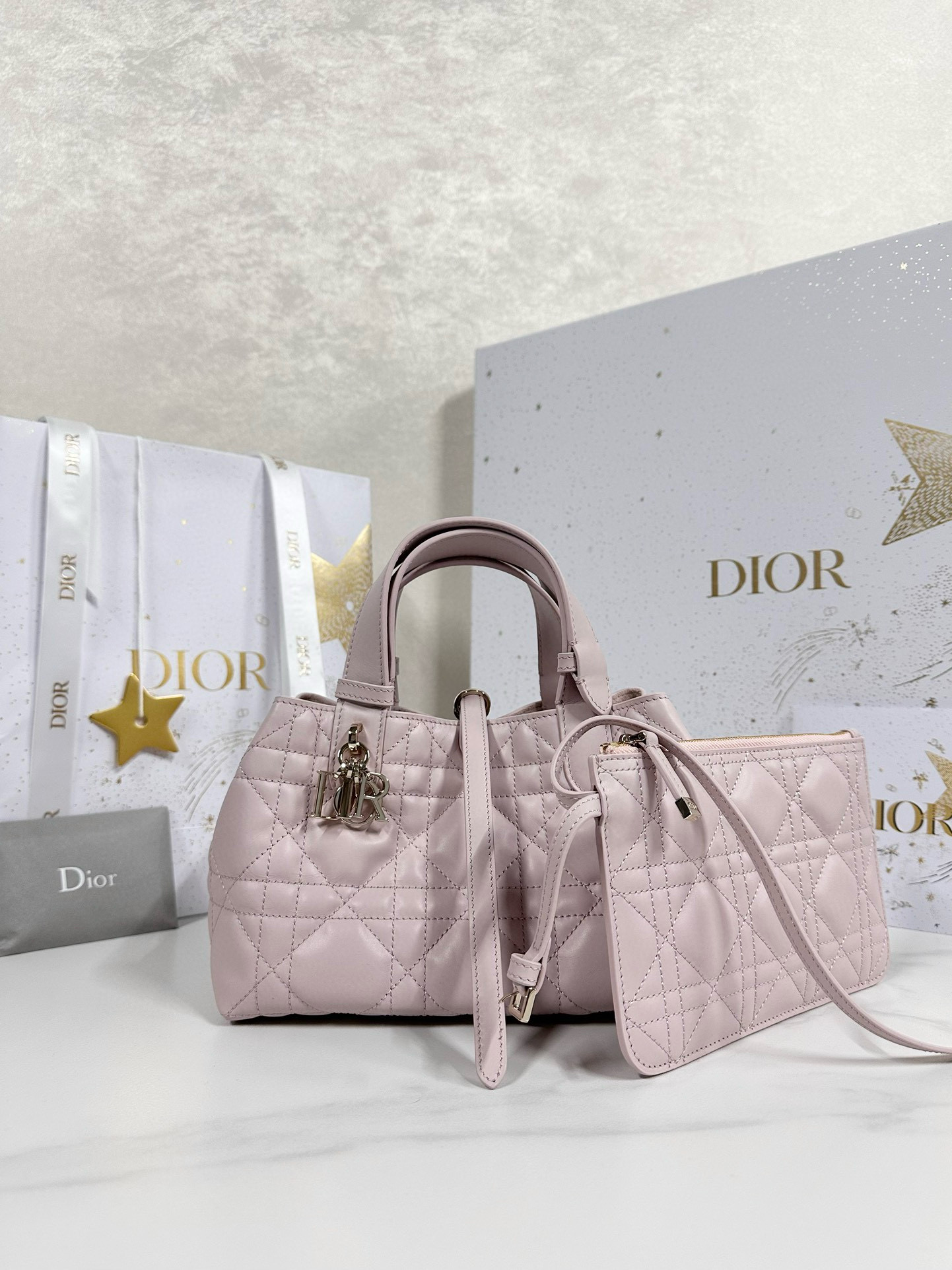 디올 Dior Small Dior Toujours Bag Pink 23cm