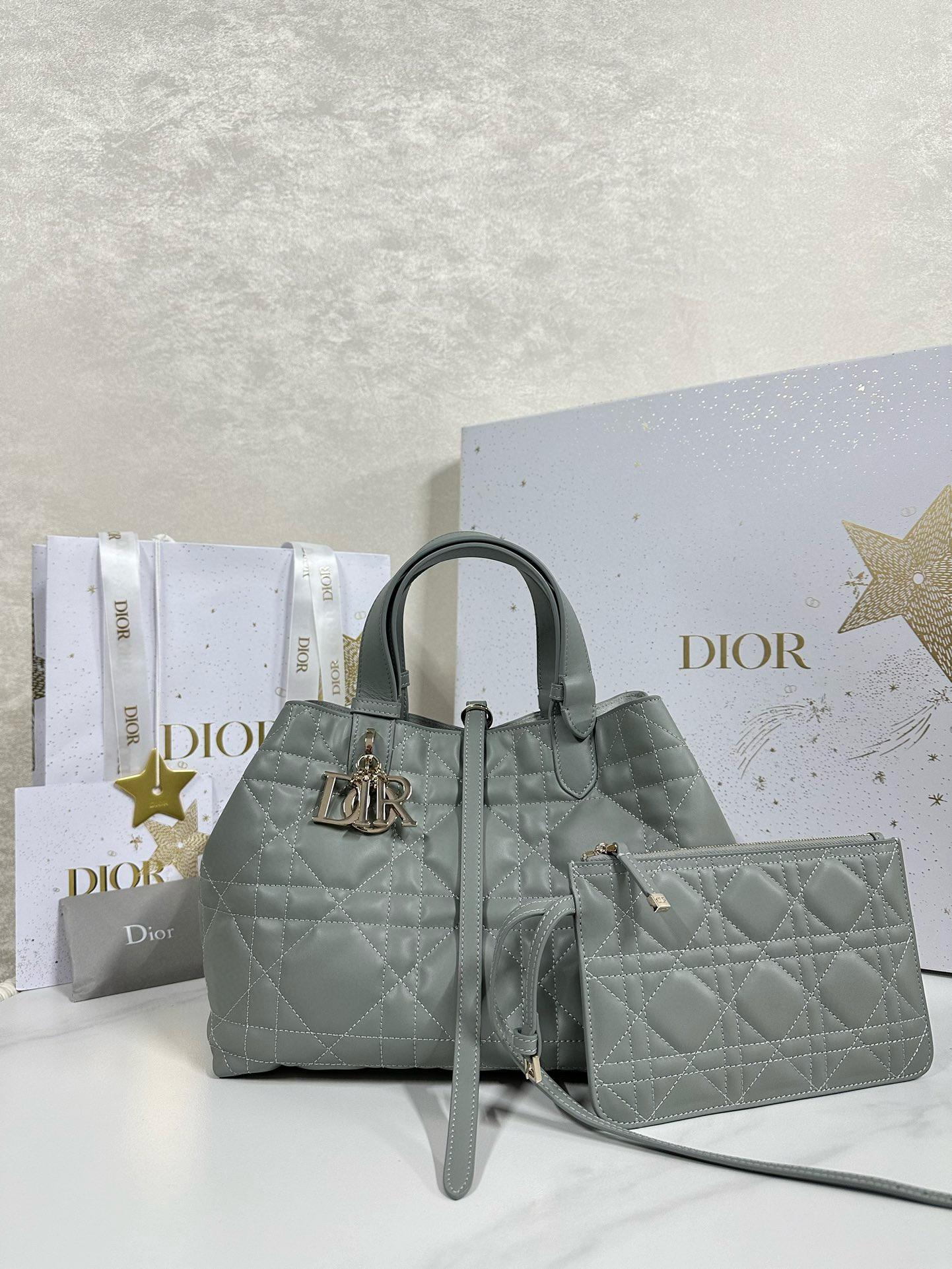 디올 Dior Medium Dior Toujours Bag Gray 28.5cm