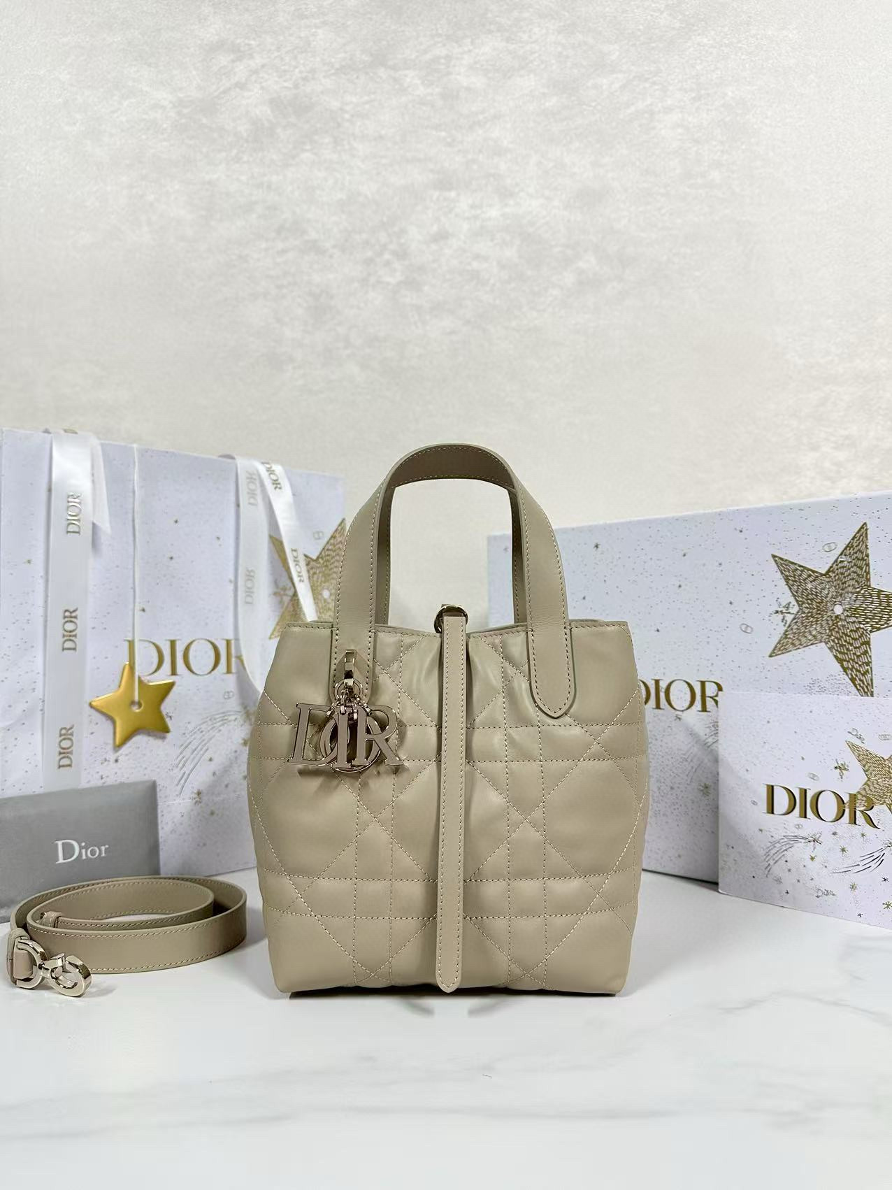 디올 Dior Small Dior Toujours Vertical Tote Bag Apricot 16cm