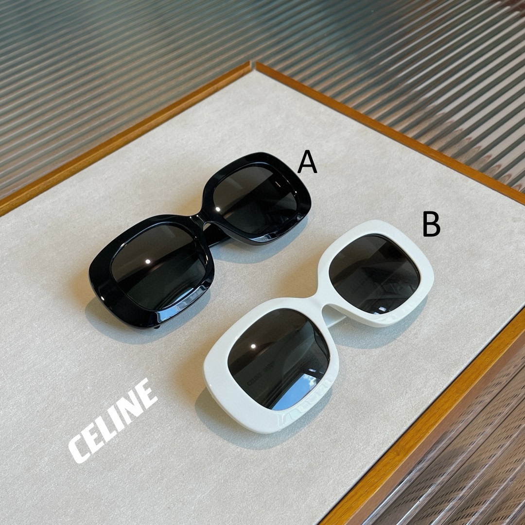 셀린느 Celine Triomphe 10 53-21-135