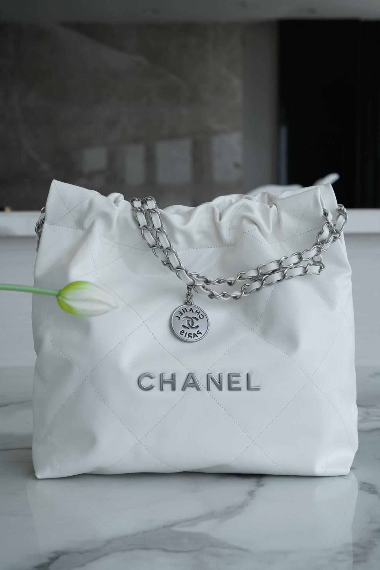 샤넬 Chanel 22P 22Small Handbag AS3260 White silver 35cm