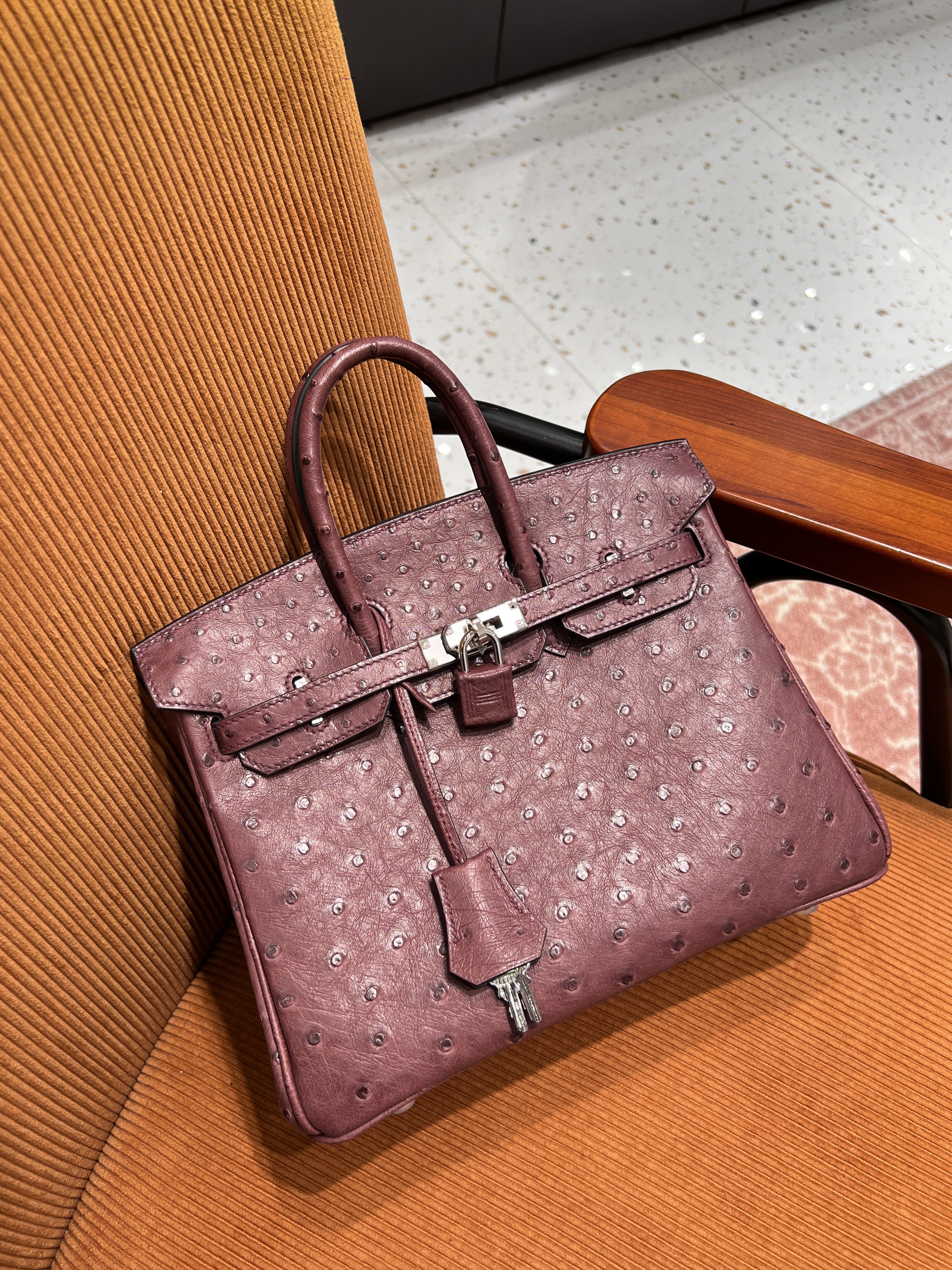 에르메스 Hermes Birkin 25cm Ostrich 57 Bordeaux/silver