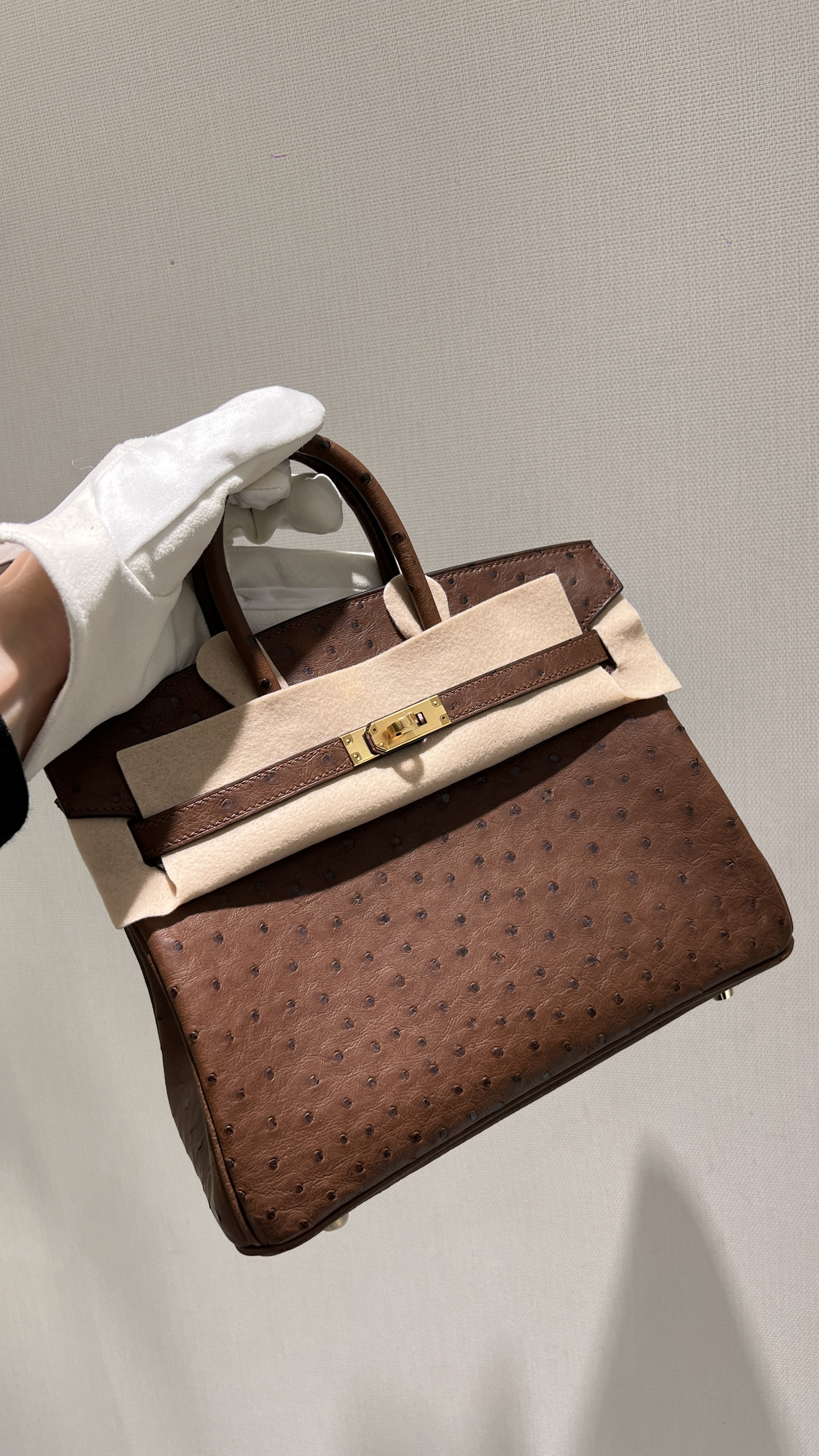 에르메스 Hermes Birkin 25cm South Africa Ostrich 4C Brule/gold